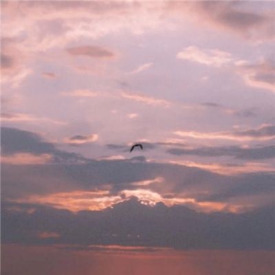 B体育·(sports)官方网站