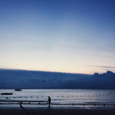 澳门精准正版资料大全下载手机版